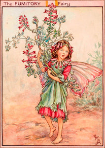 Postal Hada Fumitory