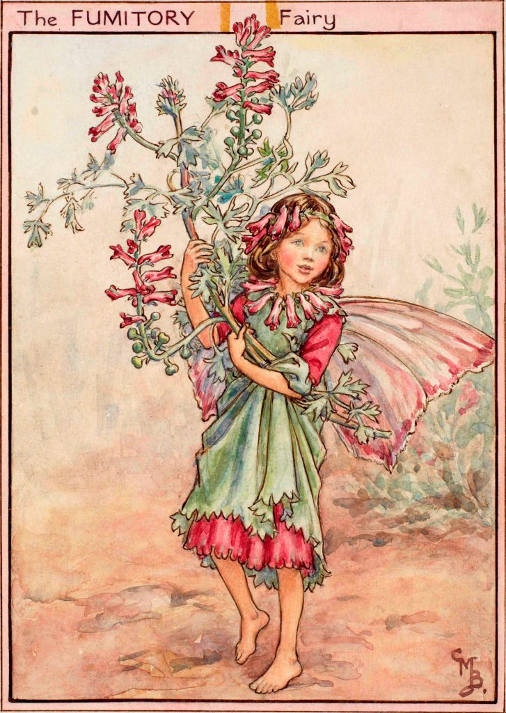 Postal Hada Fumitory