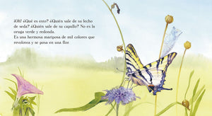 La Oruga Verde