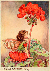 Postal Hadas de los Cardenales
