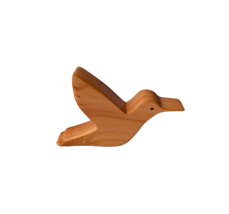 Colibrí