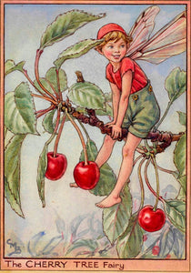 Postal Hada de las cerezas