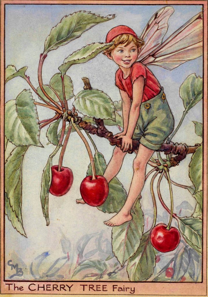 Postal Hada de las cerezas