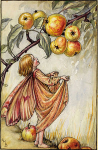 Postal Hada de las manzanas