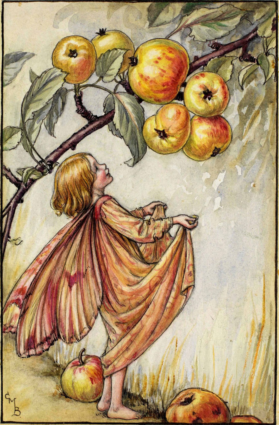 Postal Hada de las manzanas